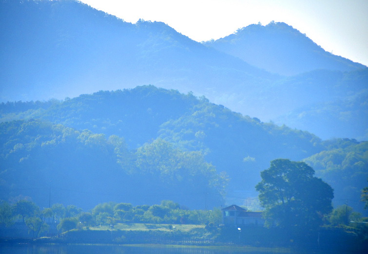 강 마을에 초록 명상