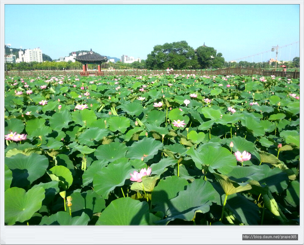 덕진공원, 전주의 공원 1호
