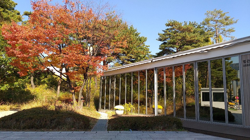 100회전국체전!