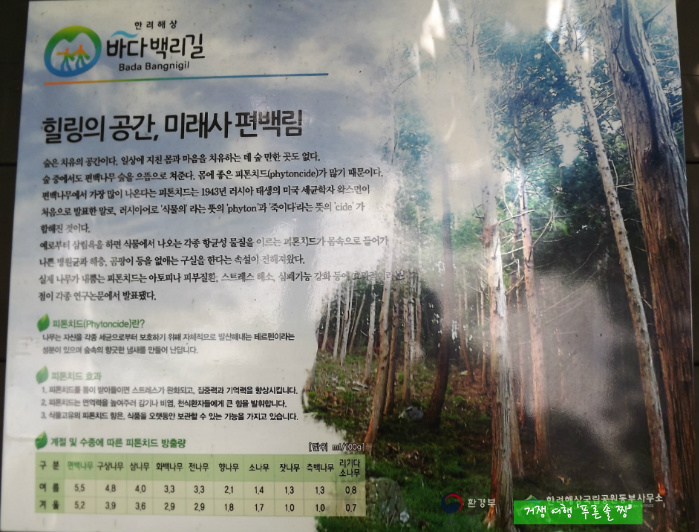 미래사 이미지