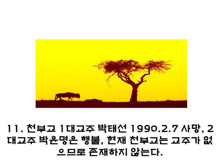 994AAD475B6275A204D0E4