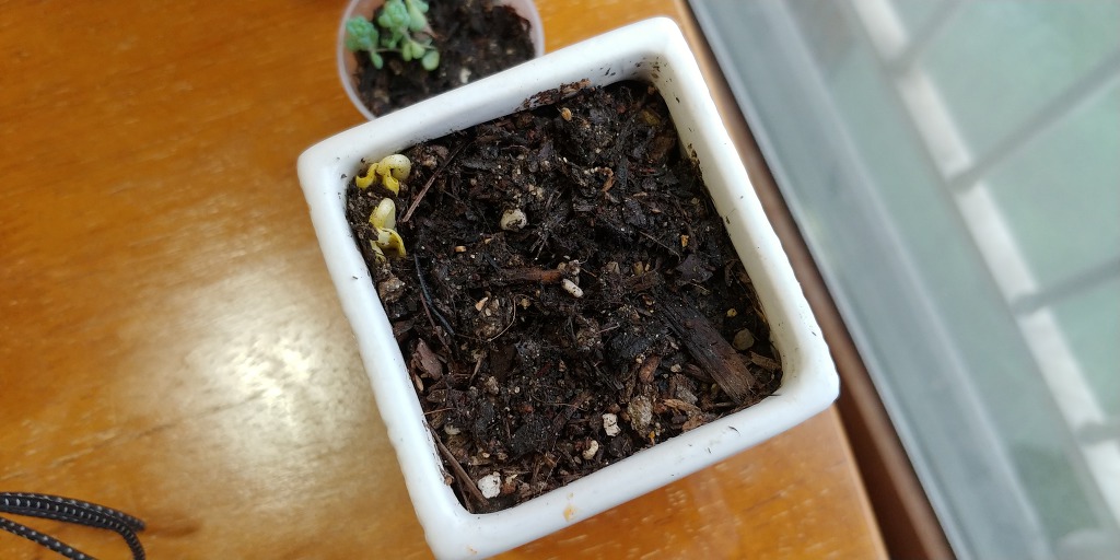 논문 리젝. 상심한 당신에게.