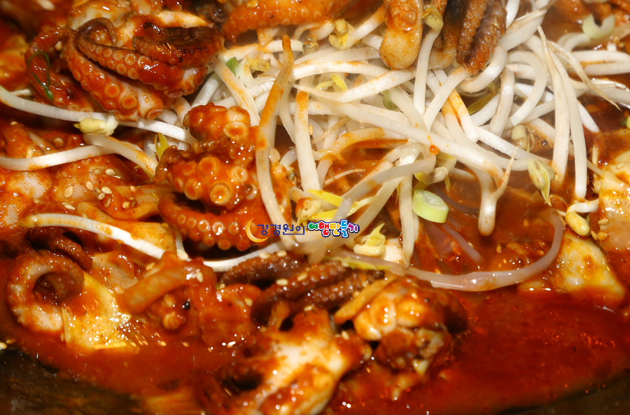 쭈꾸미와 흑돼지의 불맛구이 제주시 한경면 맛집 미온당 쭈꾸미흑돼지 철판구이 제주도여행