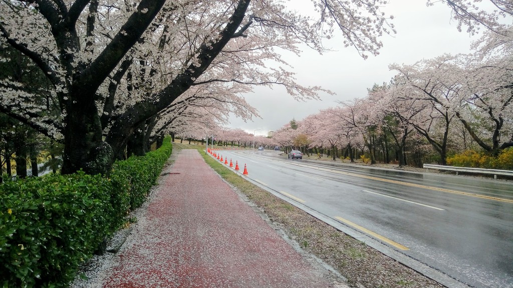 사월을 보내며