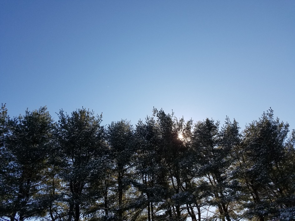 겨울 하늘