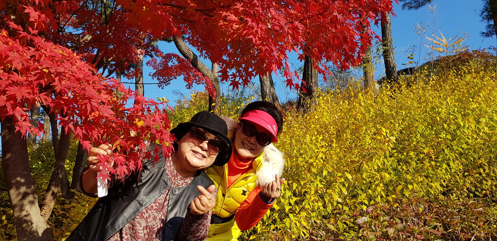 골프장 구경은 즐거워~~♡문막 센츄리21CC