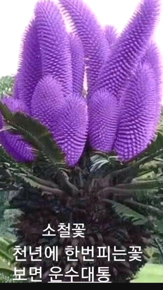 99AEB1385C8914F21F1777