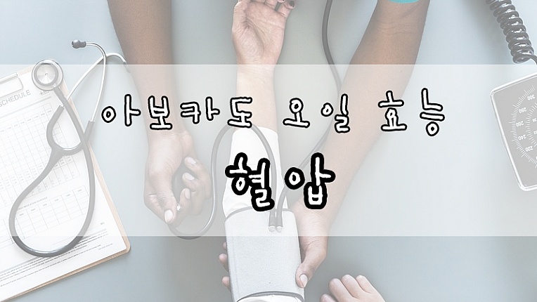 요즘 뜨는 아보카도 오일 효능은?