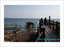 동해 해안길을 따라