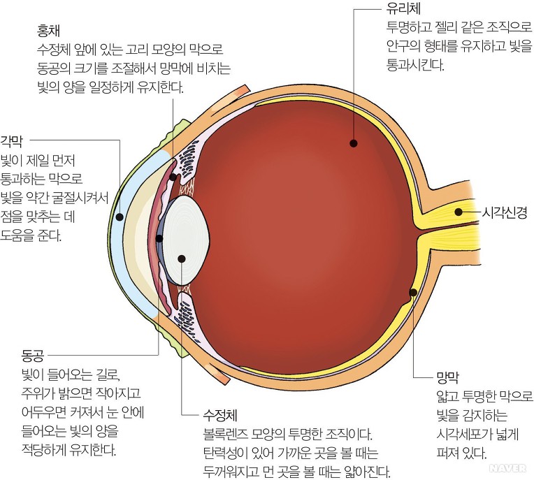 몸이 천냥이면 눈이 구백냥이라는데. 