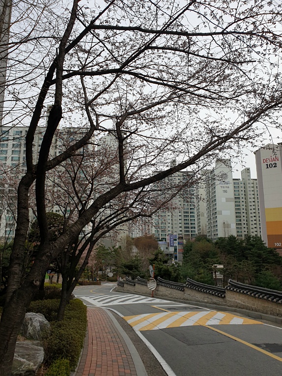 산책을 하면 기분이 좋아져요/ 우리 아파트에서 ....