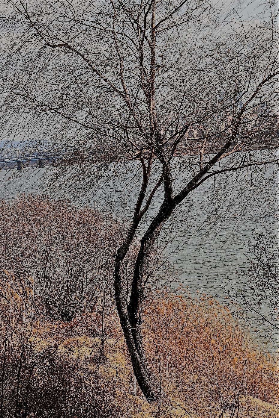 1년 전, 뚝섬 '서울숲의 봄' 풍경을 리뷰하였습니다.    (20180314)