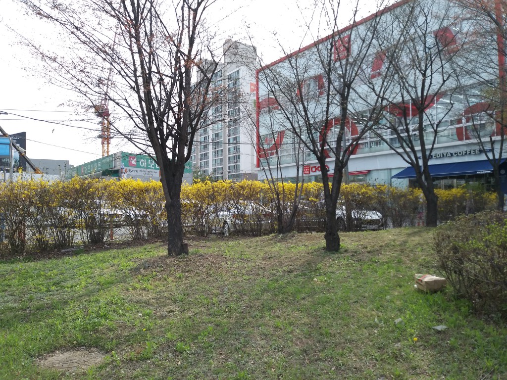 19.4.7(일)
