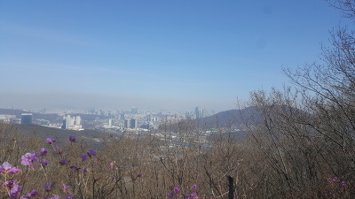 [오늘의 영어명언]