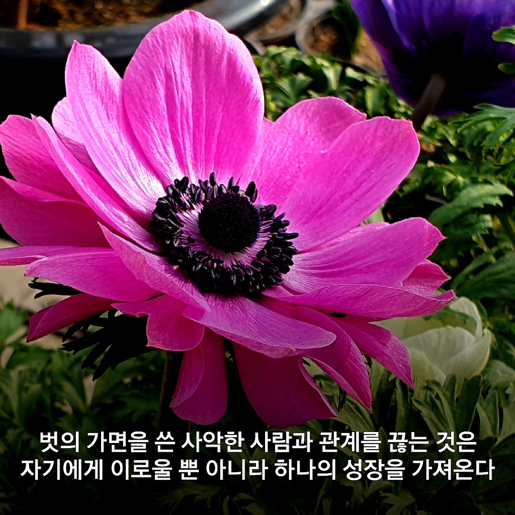 벗의 가면을 쓴 사악한 사람과 