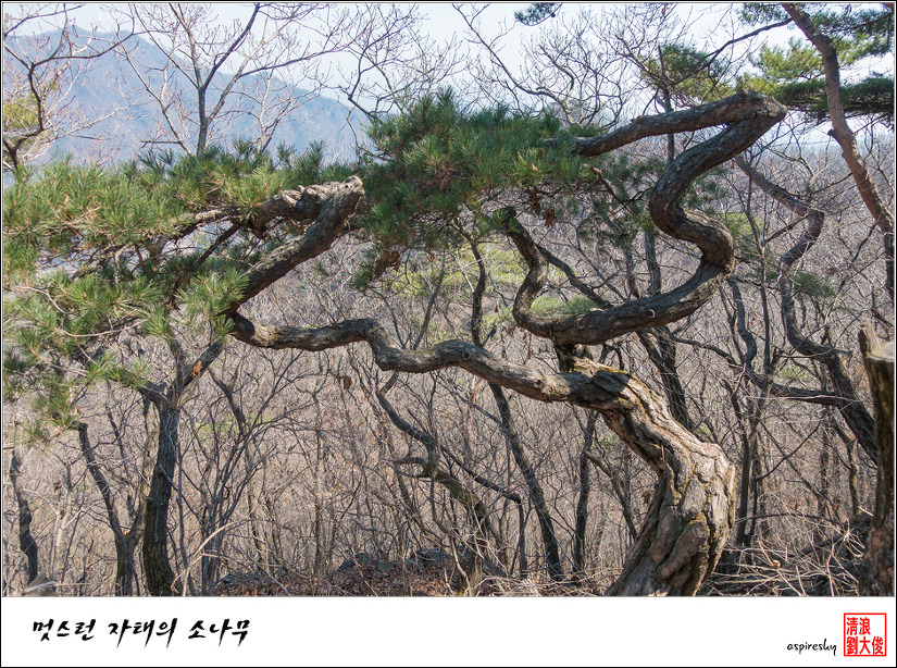 2019.04.04 봄 날 거닐어 본 검단산