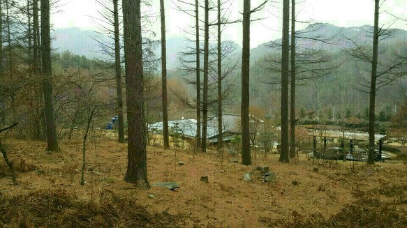 사진:양평청운면 산과개울이그림같은 수양관,수련원,캠핑장적합(토지+건물)