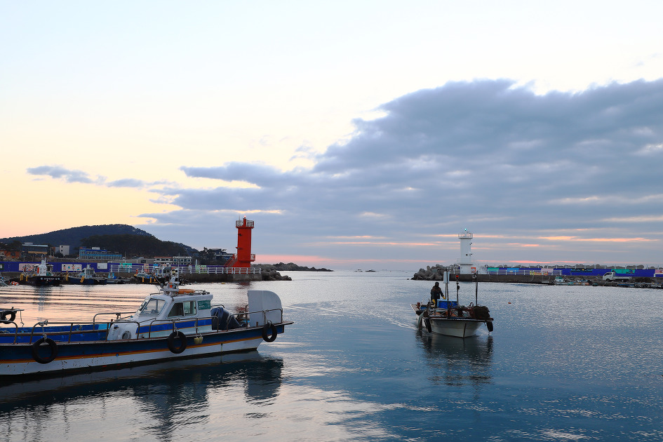 귀항과 출항 (송정항. 2019.02.20.수)