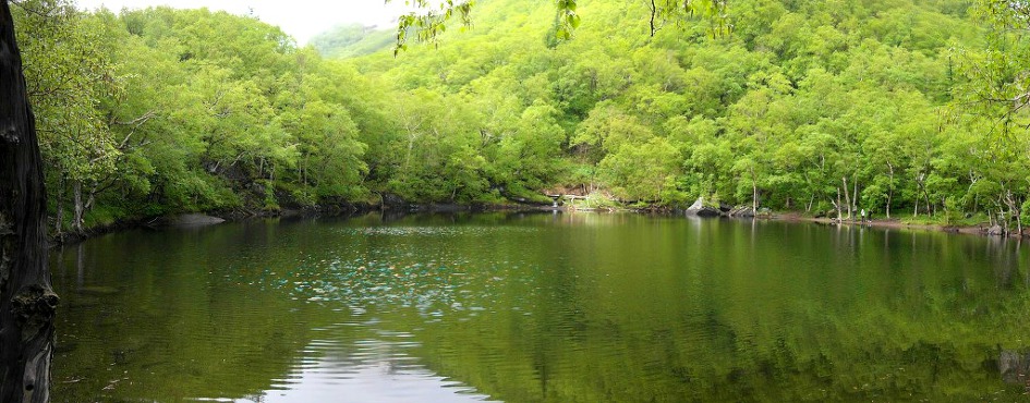 백두산의 아름다운 야생화[野生花], 장백 폭포(长白瀑布)