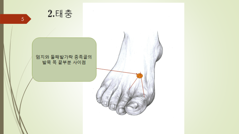지압만으로도 아주 좋은 효과를 갖는 사관혈과 용천, 수삼리