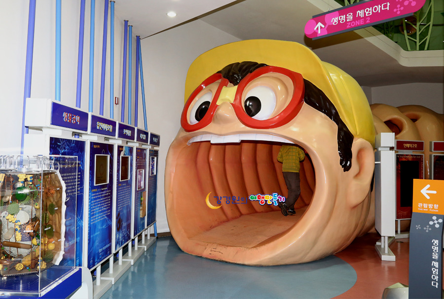 홍천 가볼만한곳 공작산 수타사계곡 가리산레포츠파크 홍천생명건강과학관 강원도 여름휴가 여행