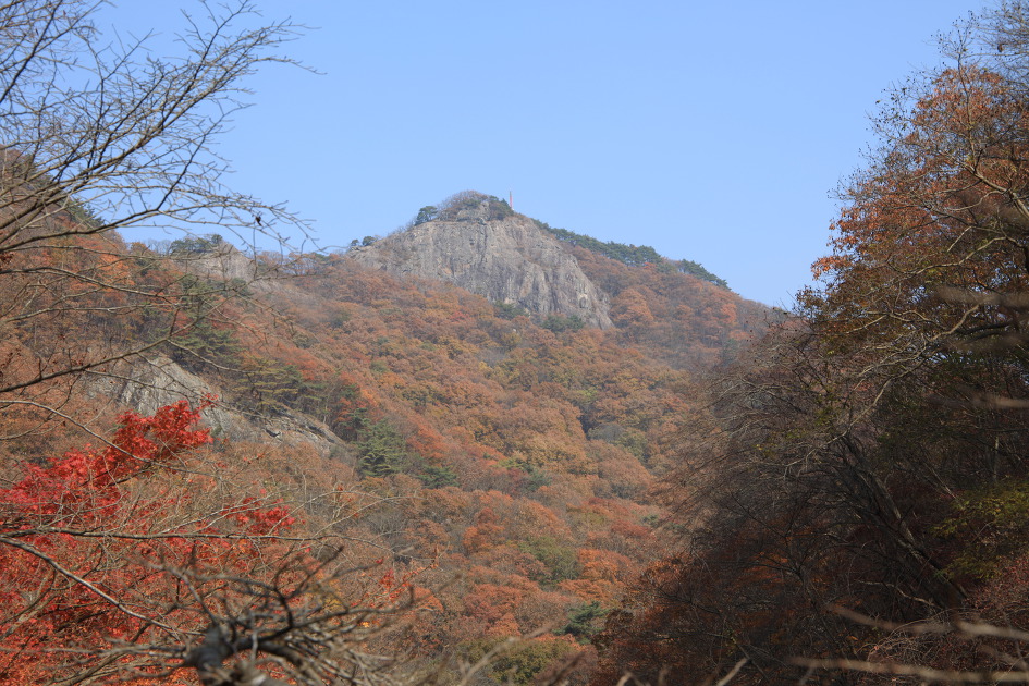 내차로,열흘간 시간여행,11일째(여수,내장산단풍)