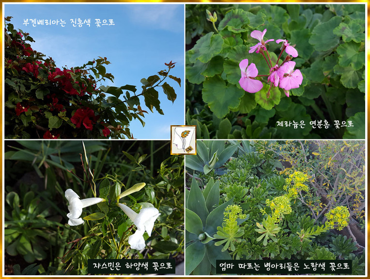 메리 버스데이