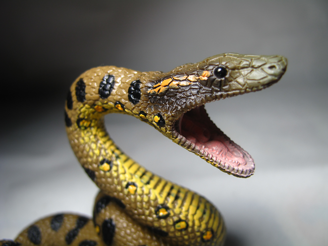 angry anaconda toy